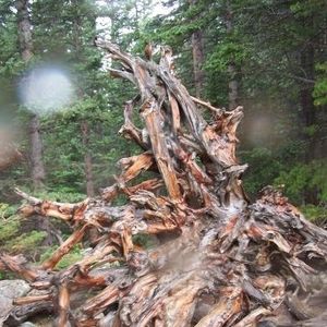 Meet your Posher, Todd